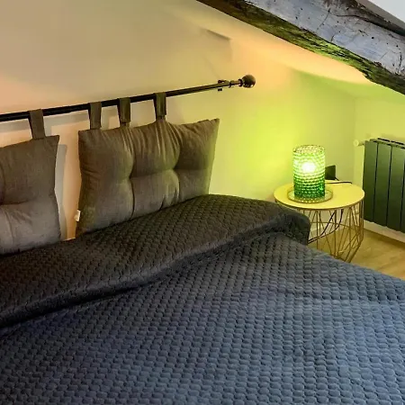 Cozy Attic In Turin's Heart Apartment *